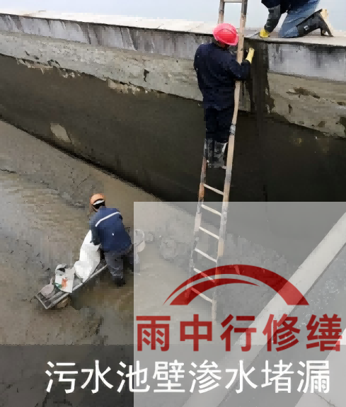 石家庄2026年防水龙头半月两次涨价，行业格局重塑信号